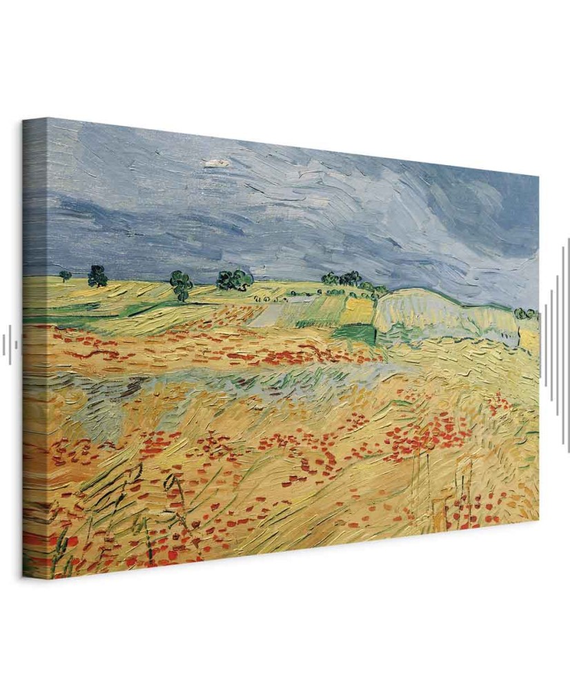 Paveikslas Vincent van Gogh - Laukai su aguonomis