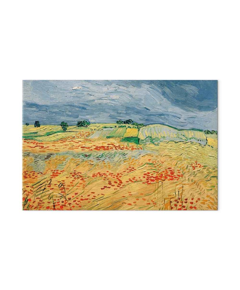Paveikslas Vincent van Gogh - Laukai su aguonomis