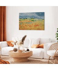 Paveikslas Vincent van Gogh - Laukai su aguonomis