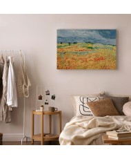 Paveikslas Vincent van Gogh - Laukai su aguonomis