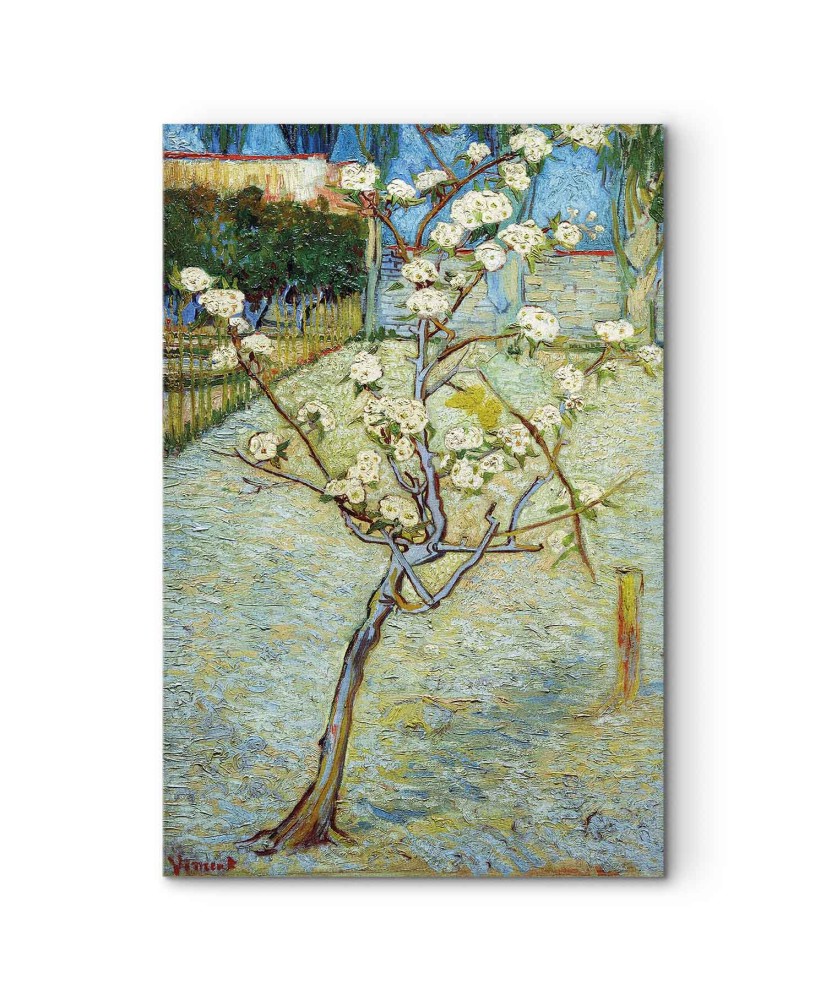 Paveikslas Vincent van Gogh - Žydinti kriaušė