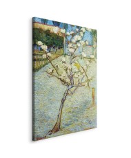 Paveikslas Vincent van Gogh - Žydinti kriaušė