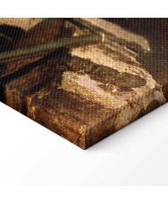 Paveikslas Carl Spitzweg - Palėpės kambarėlyje