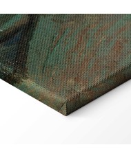 Paveikslas Vincent van Gogh - Vienaakio vyro portretas