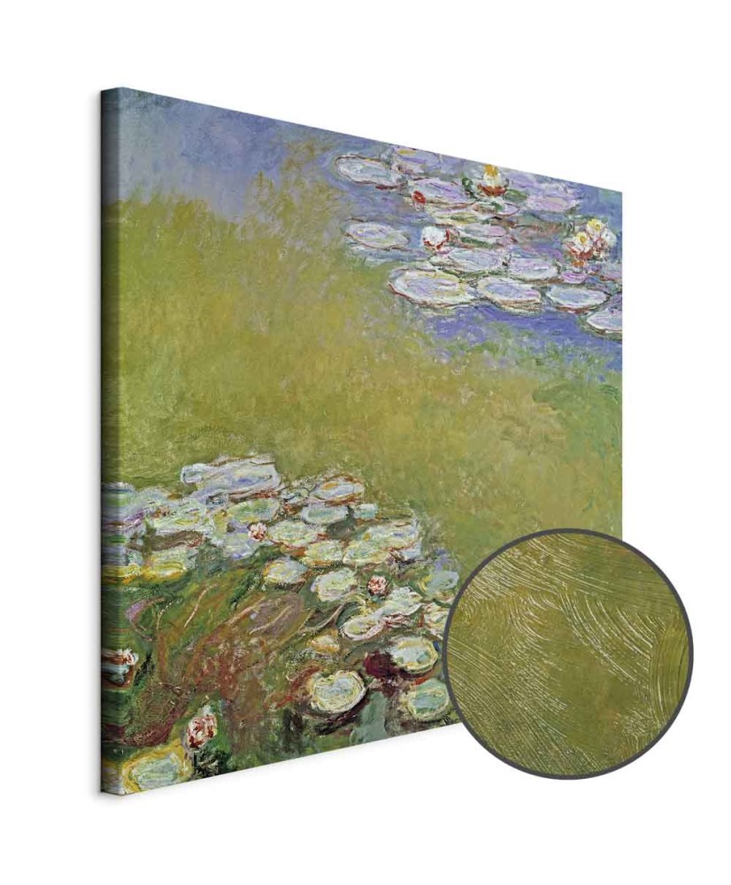 Paveikslas Claude Monet - Vandens lelijos