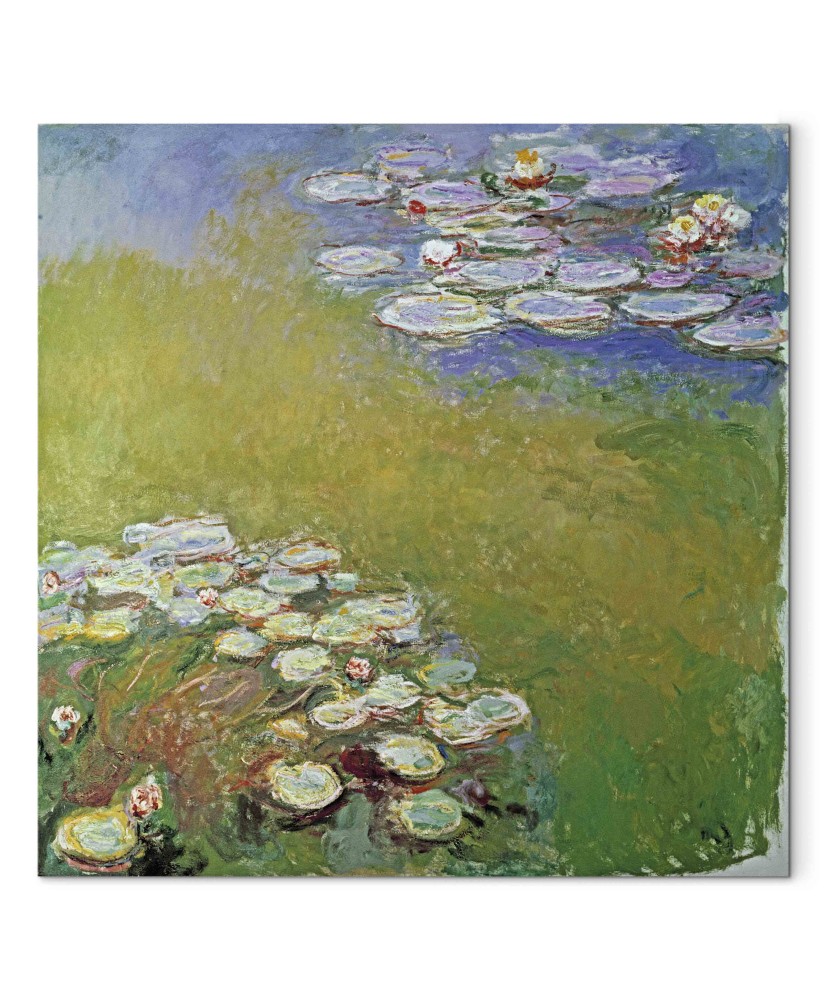 Paveikslas Claude Monet - Vandens lelijos
