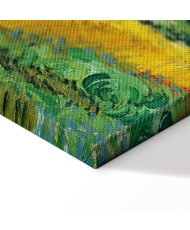 Paveikslas Vincent van Gogh - Kviečių laukas su kiparisais