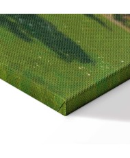 Paveikslas Claude Monet - Moteris sode