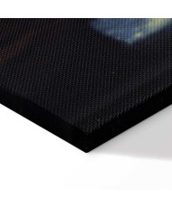 Paveikslas Jan Vermeer - Mergina su perlo auskaru