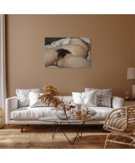 Paveikslas Gustave Courbet - Pasaulio kilmė