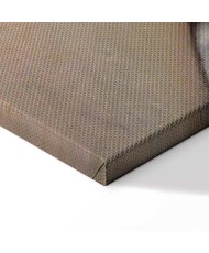 Paveikslas Gustave Courbet - Pasaulio kilmė