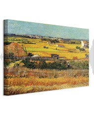 Paveikslas Vincent van Gogh - Derlius