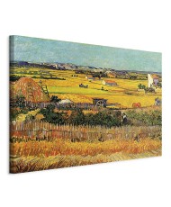 Paveikslas Vincent van Gogh - Derlius