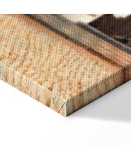 Paveikslas Jan Vermeer - Mažoji gatvelė