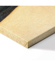 Paveikslas Raphael - Siksto Madona, fragmentas