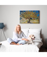 Paveikslas Vincent van Gogh - Šilkmedis