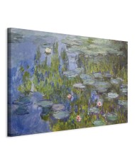 Paveikslas Claude Monet - Vandens lelijos