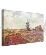 Paveikslas Claude Monet - Tulpių laukai su malūnu