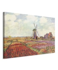Paveikslas Claude Monet - Tulpių laukai su malūnu