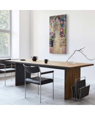 Paveikslas Gustav Klimt - Marijos Munk portretas