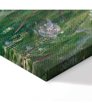 Paveikslas Claude Monet - Pievoje