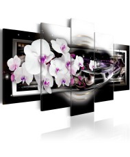 Paveikslas  Orchids on a black background