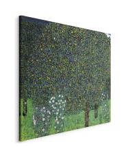 Paveikslas Gustav Klimt - Rožės tarp medžių