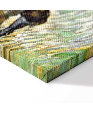 Paveikslas Vincent van Gogh - Kelias su kiparisu ir žvaigžde