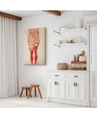 Paveikslas Egon Schiele - Stovinti moteris raudonai