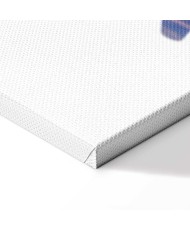 Paveikslas Merginų galia