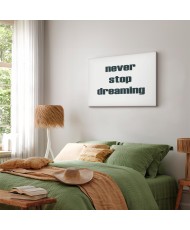 Paveikslas Niekada nenustok svajoti
