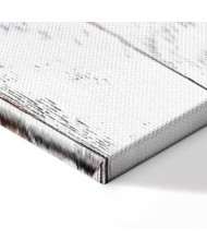 Paveikslas Arčiau gamtos