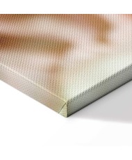 Paveikslas Vienas jausmas