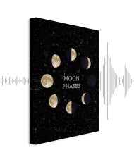 Paveikslas Mėnulio ciklas