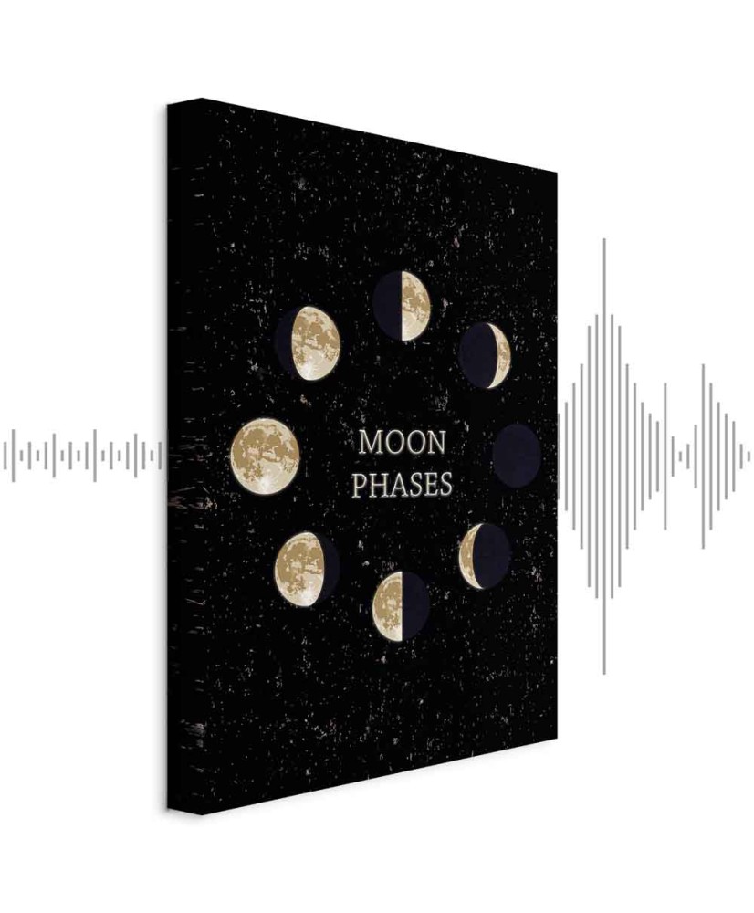 Paveikslas Mėnulio ciklas