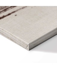 Paveikslas Dvi kometos