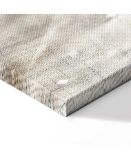 Paveikslas Gegužės sniegas