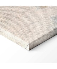 Paveikslas Laikinumas