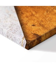 Paveikslas Žvilgsnis į praeitį