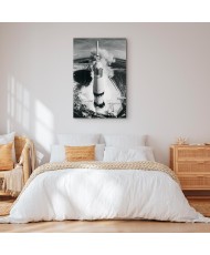 Paveikslas Kosminis greitis