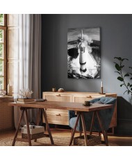 Paveikslas Kosminis greitis