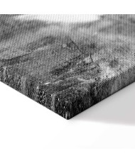 Paveikslas Trumpalaikė paslaptis