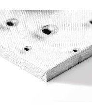 Paveikslas Užburta šalna