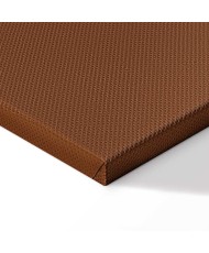 Paveikslas Rudens švelnumas