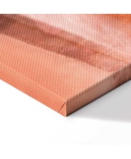 Paveikslas Kitas žingsnis