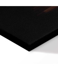 Paveikslas Auksinė plėtra