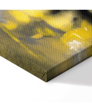 Paveikslas Miesto švytėjimas