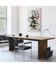 Paveikslas Moteris su šunimi