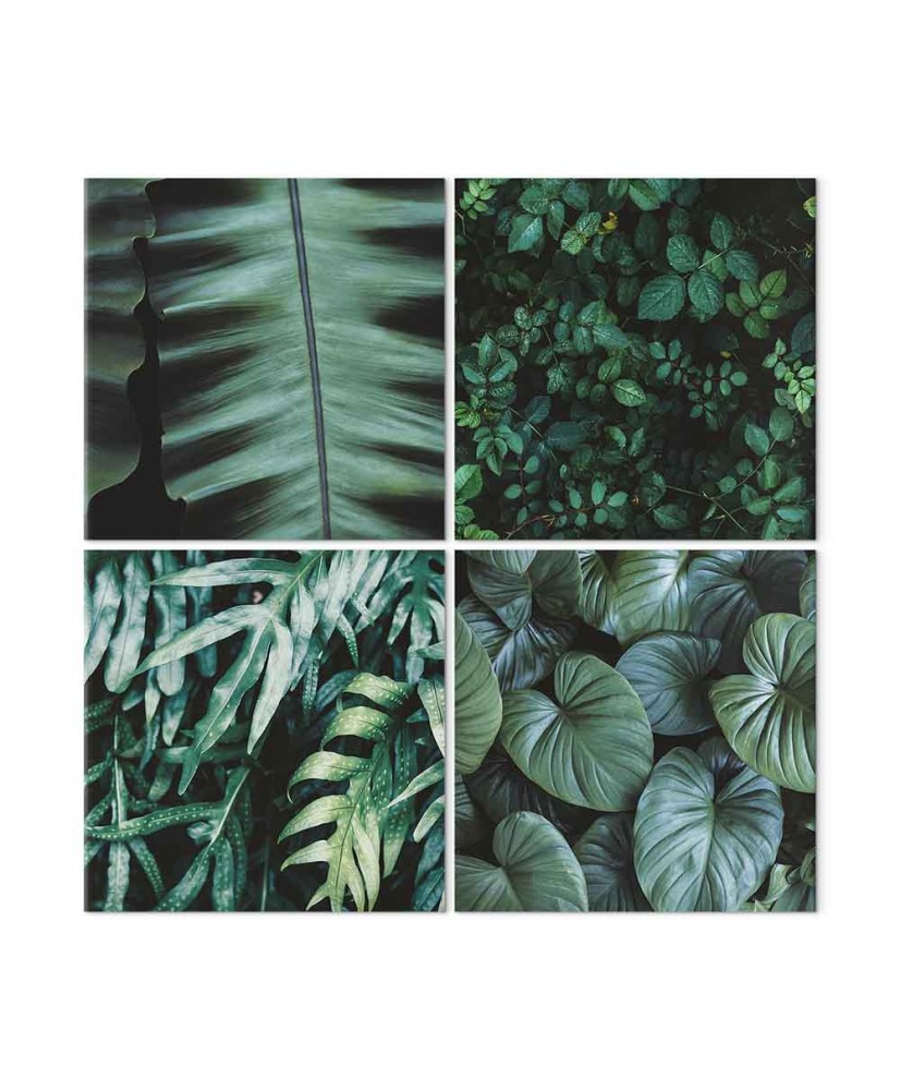 Paveikslas Botaninė gelmė