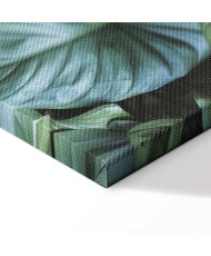 Paveikslas Botaninė gelmė